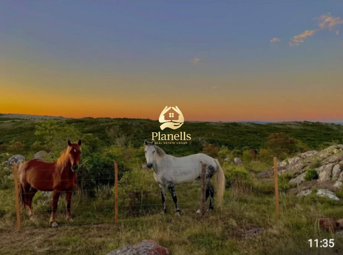 Chacra ID.3092 - ðŸŒ„ En venta: Chacra en Sierras de CarapÃ© ðŸŒ„  Chacra de mÃ¡s de 5 hectÃ¡reas en uno de los puntos mÃ¡s altos de las Sierras de CarapÃ©