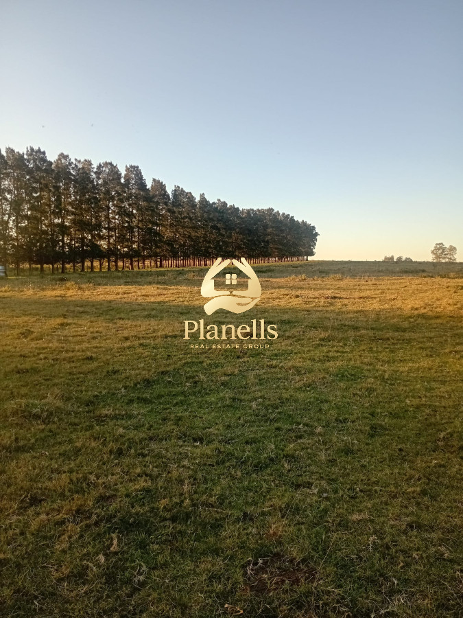 Chacra ID.2593 - Venta de Chacra de 7 Ha en Zanja de Chavez, Maldonado