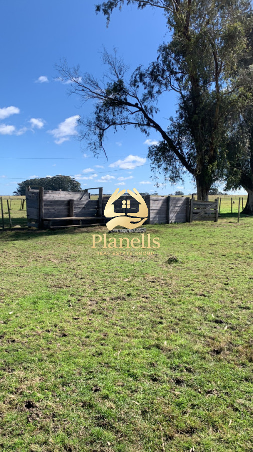 Chacra ID.4458 - VENTA CASA DE CAMPO RUTA 9 MUY CERCA DE CASTILLOS ROCHA