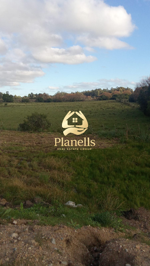Chacra ID.2321 - Venta de Chacra con casa en Maldonado