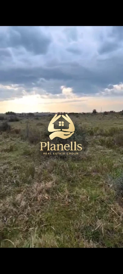 Venta Chacra 5 ha en Cañada Bellaca 6