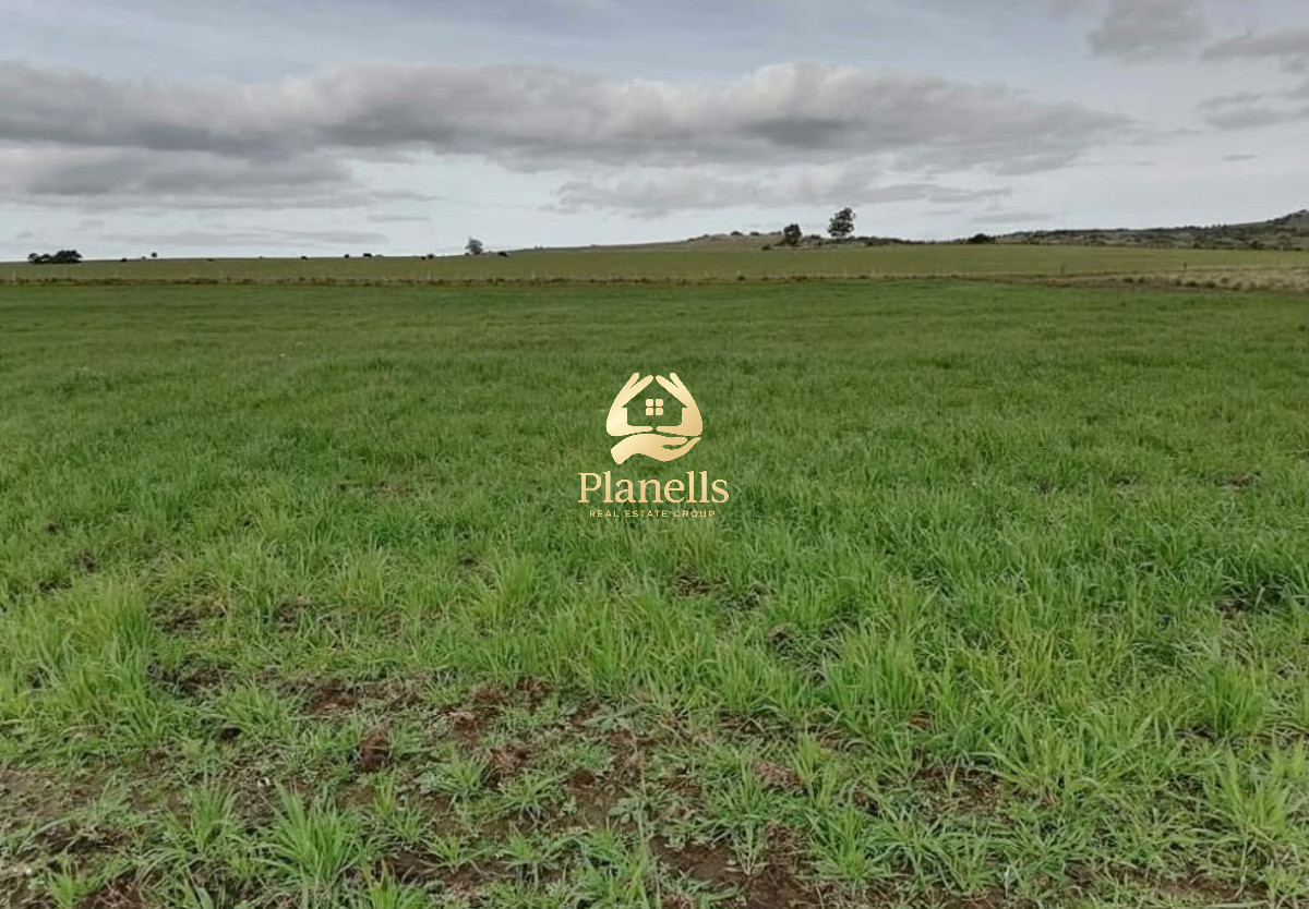 Chacra ID.4474 - Gran oportunidad !Chacra 9 Ha Pan de Azúcar. Índice CONEAT:108