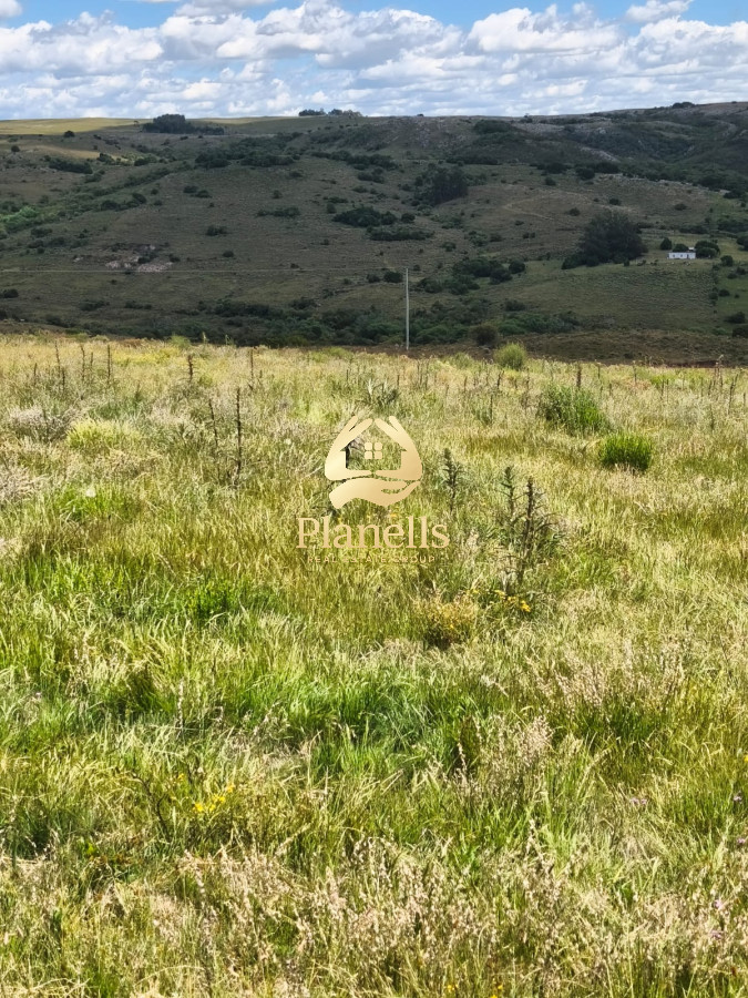 Venta Chacra 5 Has Ruta 60 6