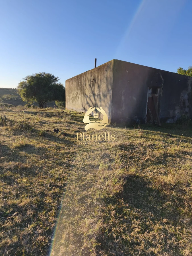 Chacra ID.3115 - Venta de Chacra 17 Ha en Carape con Tapera 