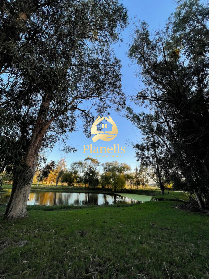 Venta de Chacra de 6 Ha con 2 casas  en Zanja de Chavez 8