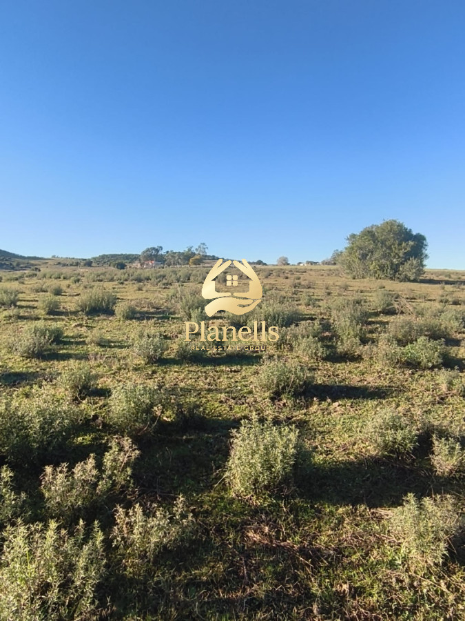 Venta de Chacra 6 Ha con casa comoda 8