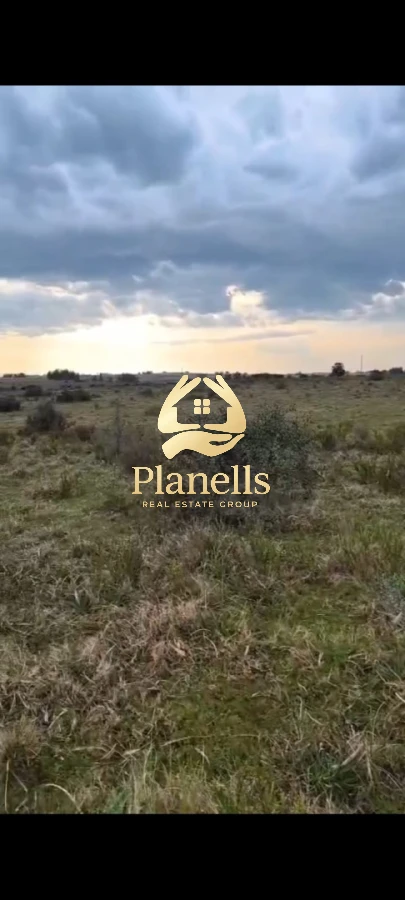 Venta Chacra 5 ha en Cañada Bellaca 4