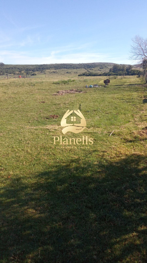 Venta de Chacra 5Ha en Abra Perdomo 3