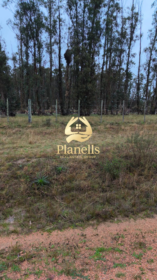 Venta Chacra 3 Ha Corte de la Leña con casa 4