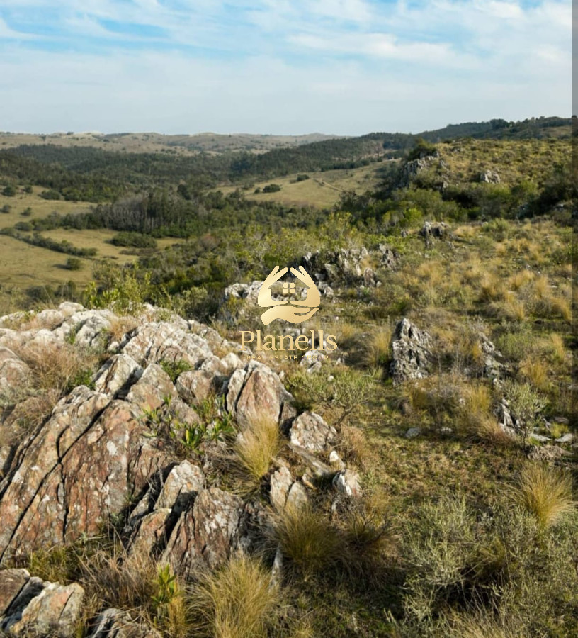 Venta Chacra 5 Has Ruta 60 4