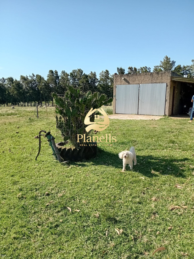 Venta Chacra  8 Has con casa en San Carlos 3