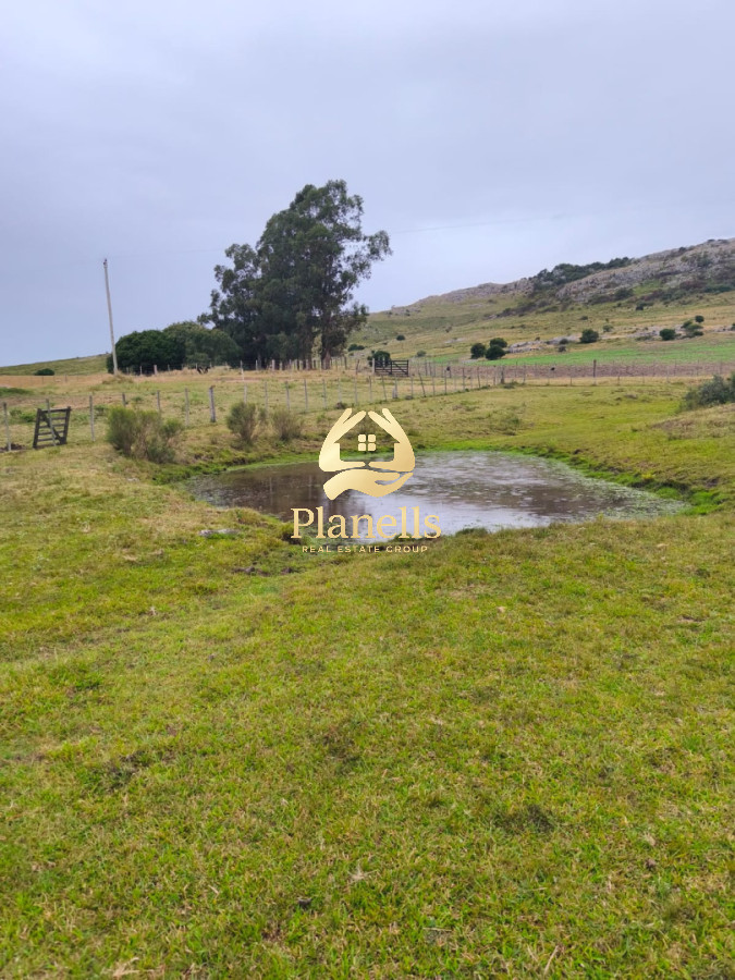 Venta de Chacra 6 Ha con casa comoda 4