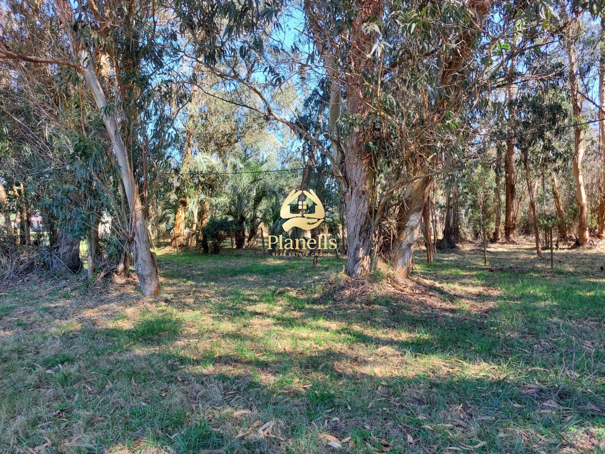 VENDO O PERMUTO CHACRA EN LA PALOMA ROCHA 4