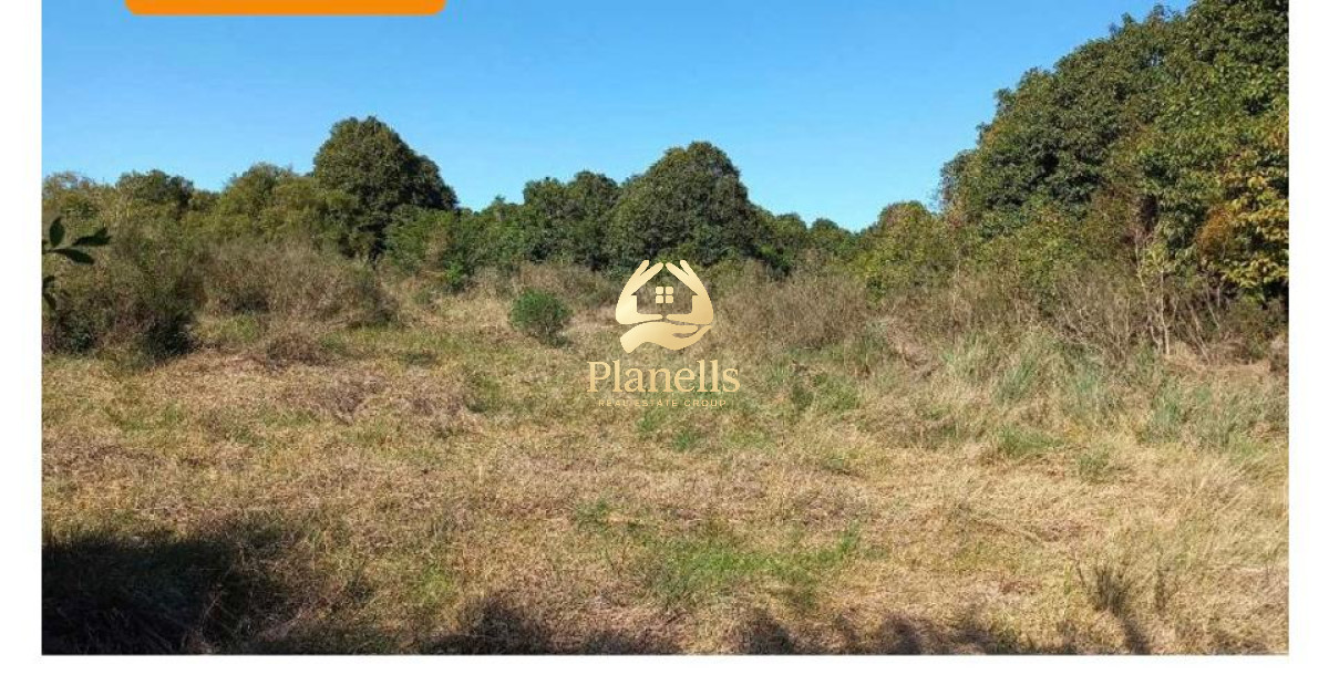 Venta de Chacra en Cañada Bellacas 1