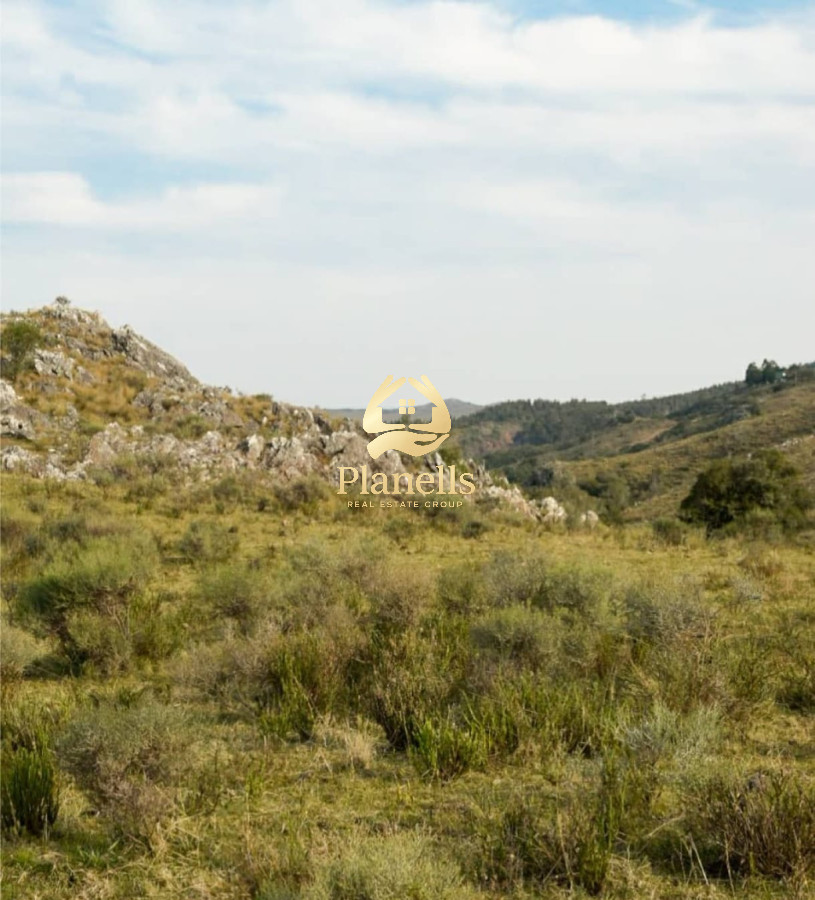 Venta Chacra 5 Has Ruta 60 7
