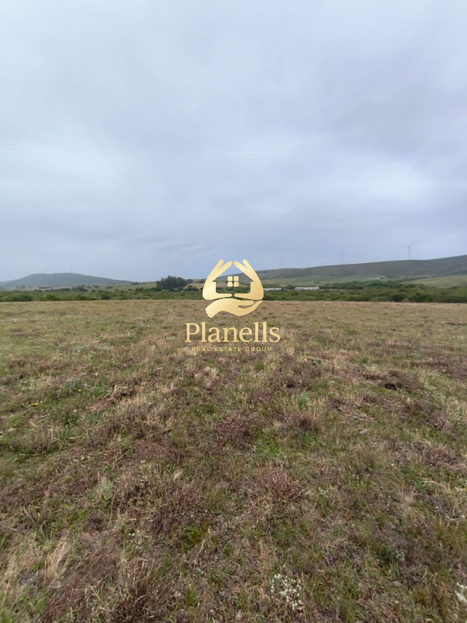 Venta de Chacra 6 Ha con casa comoda 10