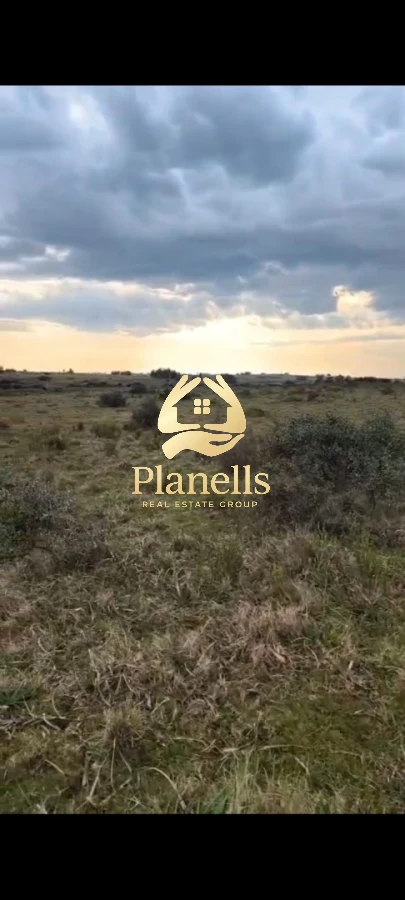 Venta Chacra 5 ha en Cañada Bellaca 5