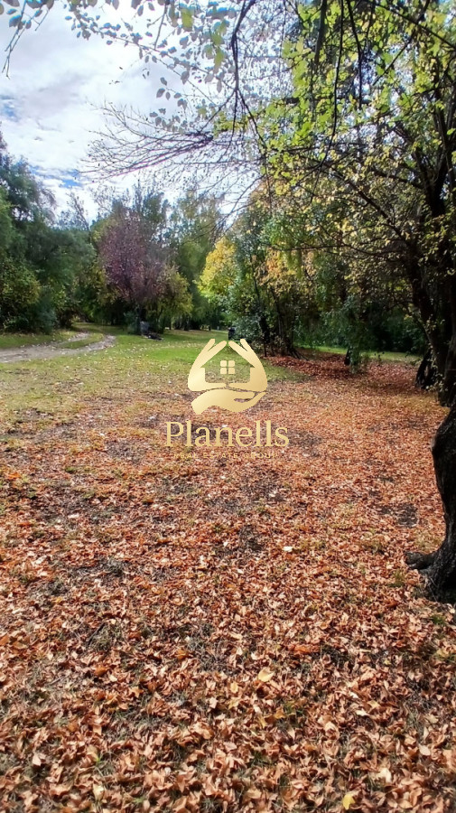 Venta Chacra en Patagonia Argentina 6