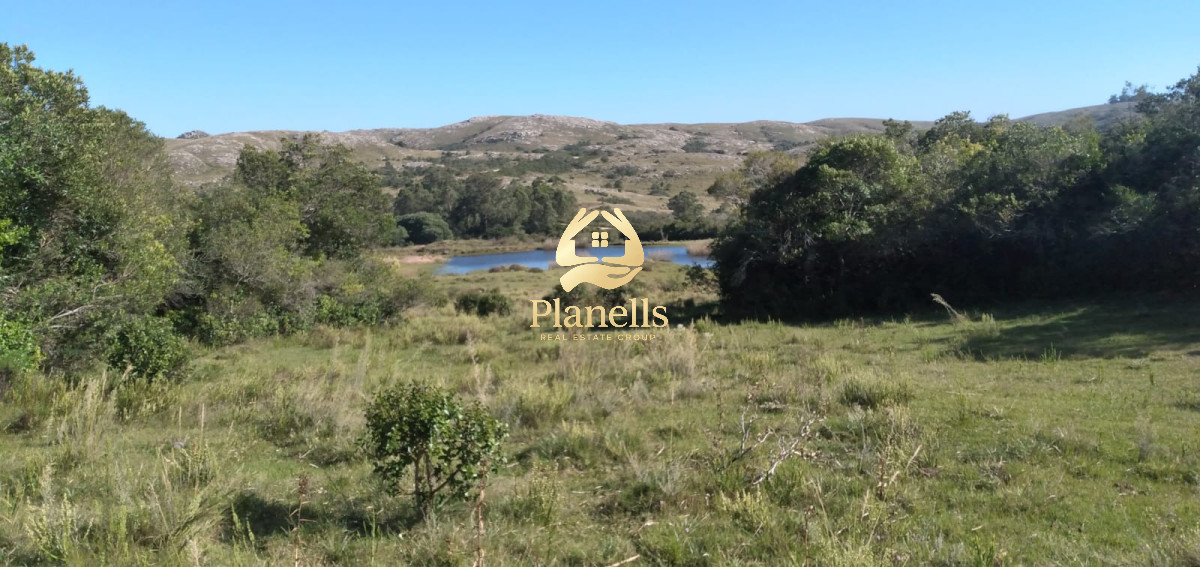 Venta de Chacra de 10 Ha en Aigua 1