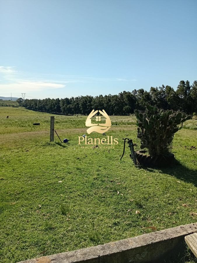 Venta Chacra  8 Has con casa en San Carlos 1
