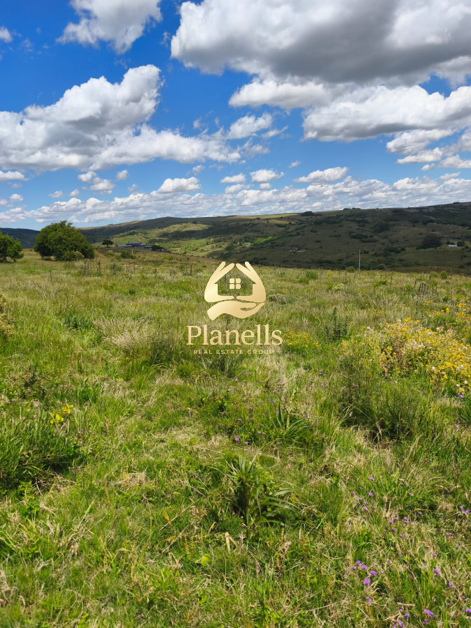 Venta Chacra 5 Has Ruta 60 3