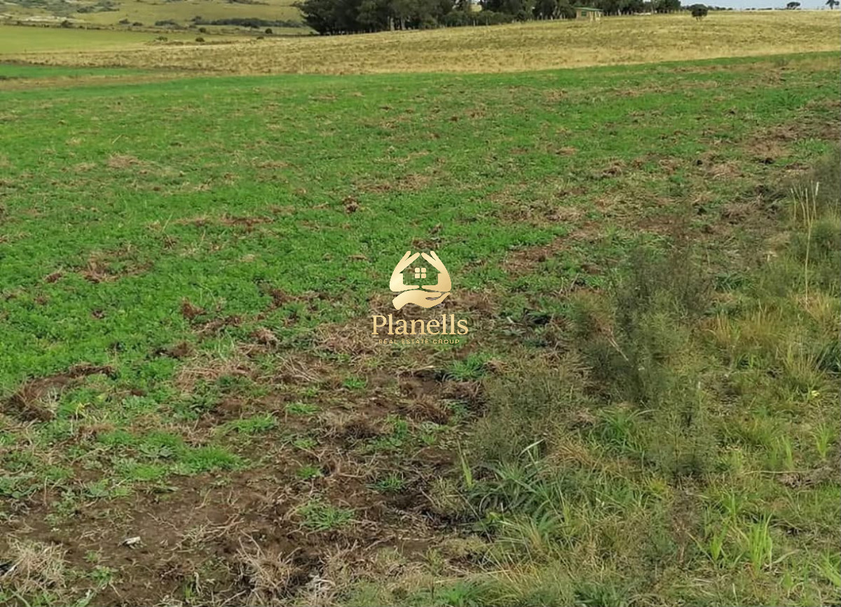 Chacra ID.4474 - Gran oportunidad !Chacra 9 Ha Pan de Azúcar. Índice CONEAT:108