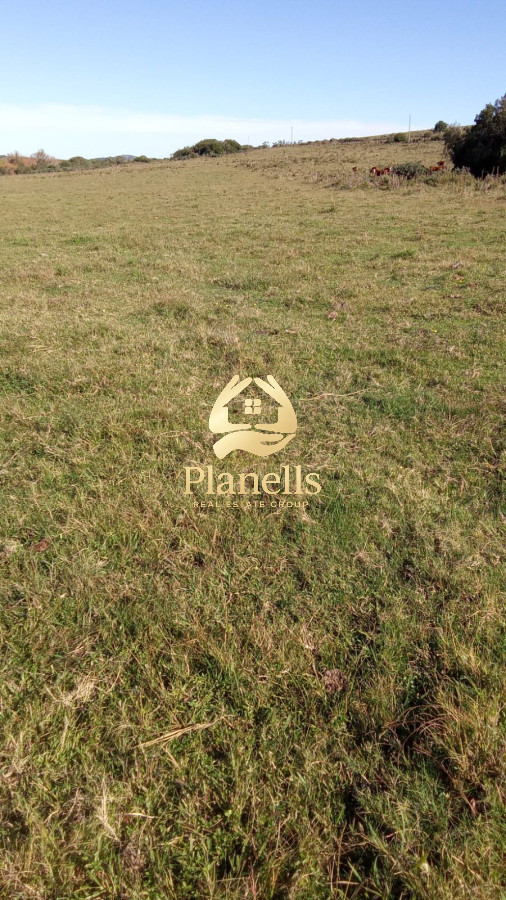Venta Chacra 6