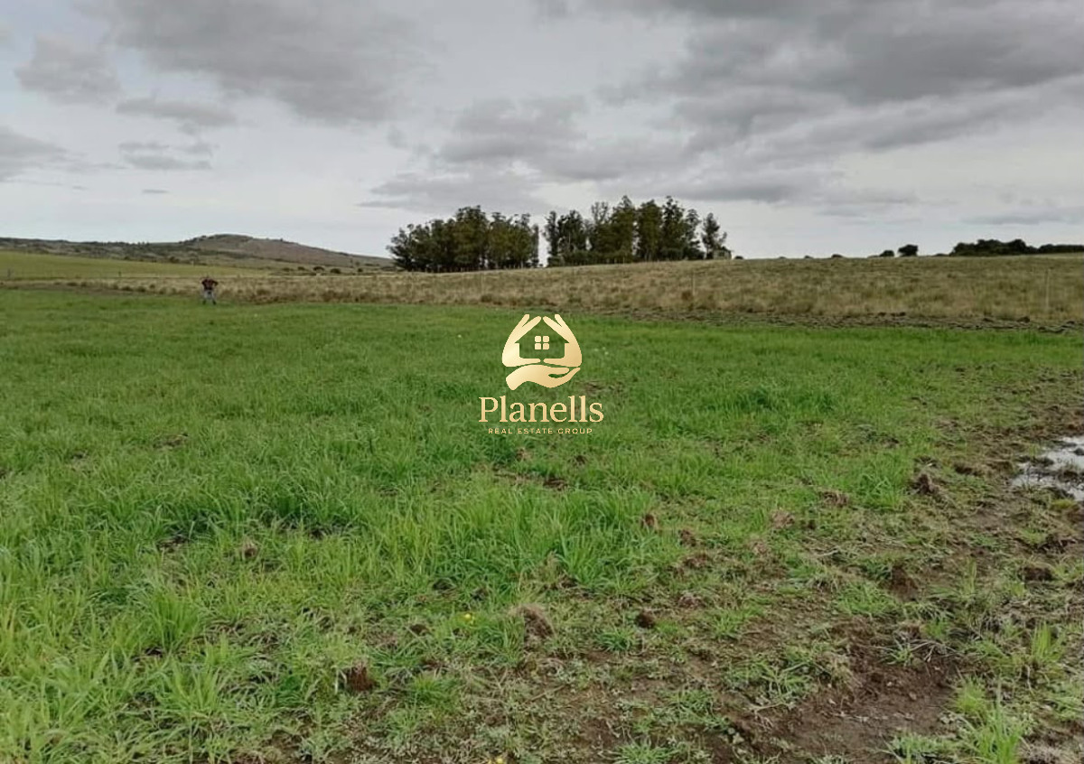 Chacra ID.4474 - Gran oportunidad !Chacra 9 Ha Pan de Azúcar. Índice CONEAT:108