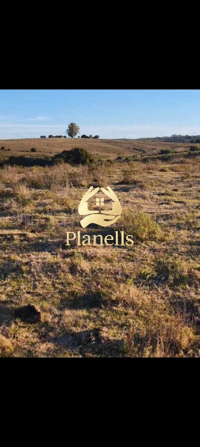 Chacra ID.3115 - Venta de Chacra 17 Ha en Carape con Tapera 
