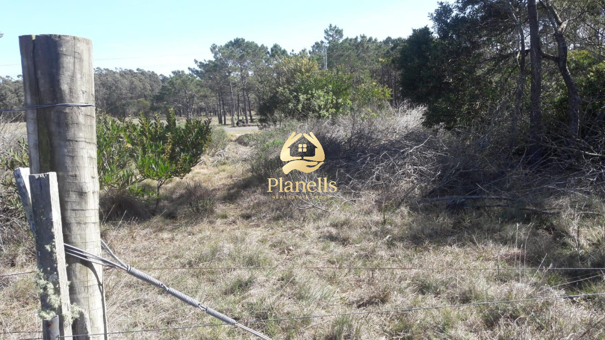 Venta 10 has Barra Valizas a 500 del mar 3