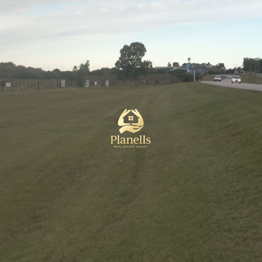Venta Chacra 3 Ha Ruta 39 3