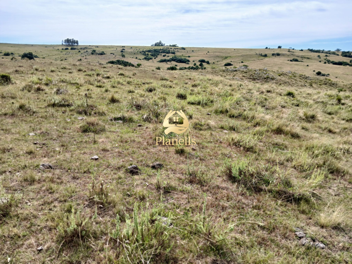 Venta de Chacra en Maldonado de 5 Ha 4