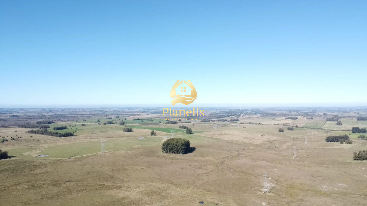 Campo Ref.2995 - Venta de Campo de 103 Has Partido Norte