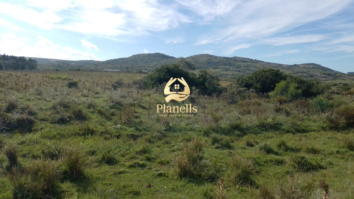 Campo Ref.2377 - Venta de Chacras de 5 y 6 Ha en Caracoles