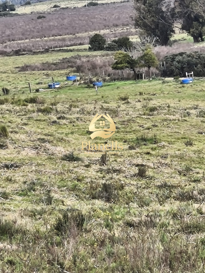 Campo Ref.2890 - Venta de campo de 34 Has en Pan de Azucar