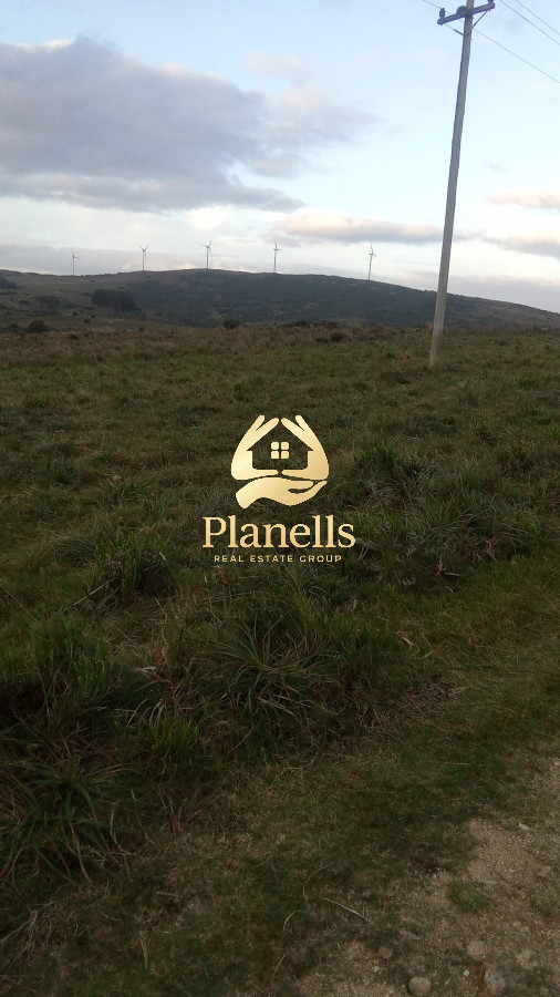 Campo Ref.3106 - Venta de Campo 600Ha en Carape con casas