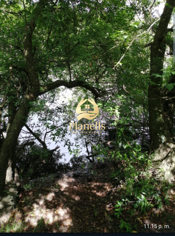 Campo Ref.2734 - Venta de campo de 22 Ha en Zanja de Chavez