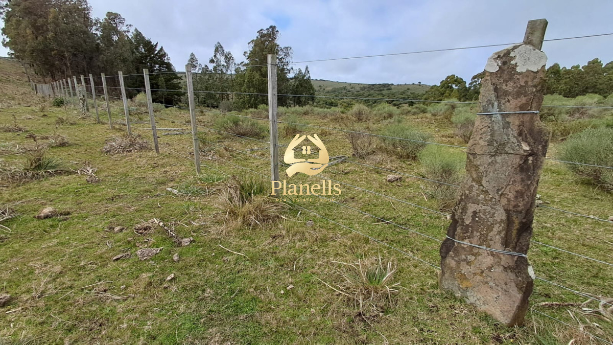 Campo Ref.3811 - Venta Campo de 26Ha con casa en Minas