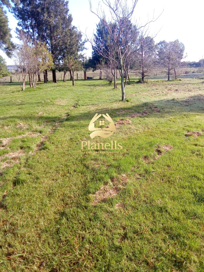 Campo Ref.2350 - venta de campo de 15Ha en Partido Norte con casa