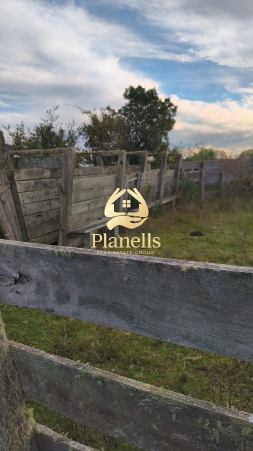 Campo Ref.2602 - Venta de Campo de 77 Ha en Las CaÃ±as