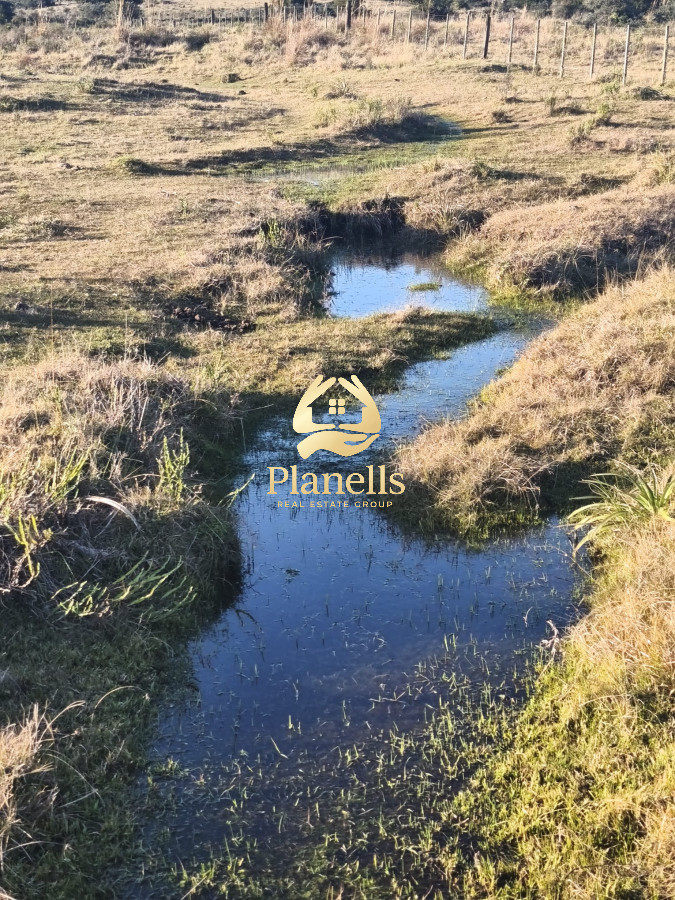 Campo Ref.3003 - Venta de Campo de 22 Has en Zona de las Cañas
