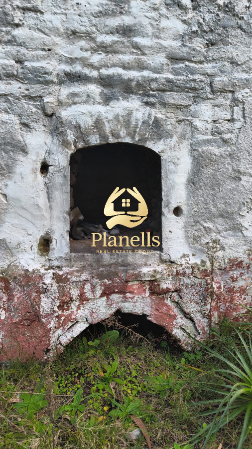 Campo Ref.2602 - Venta de Campo de 77 Ha en Las CaÃ±as