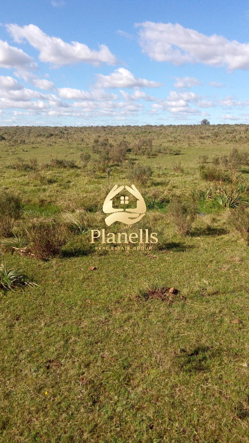 Campo Ref.2341 - Venta campo 29 hectareas a 4 km de San Carlos