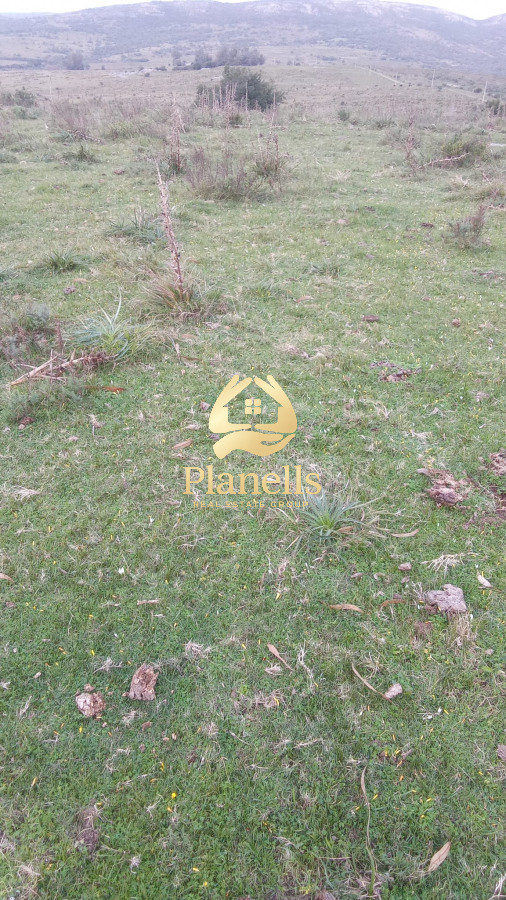 Campo Ref.3106 - Venta de Campo 600Ha en Carape con casas