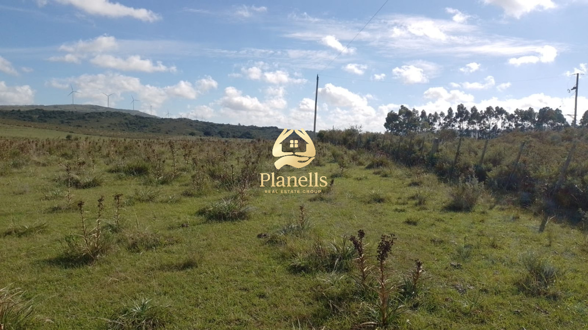 Campo Ref.2377 - Venta de Chacras de 5 y 6 Ha en Caracoles