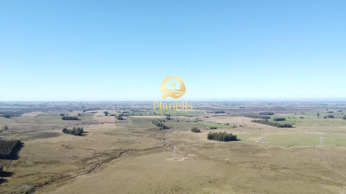 Campo Ref.2995 - Venta de Campo de 103 Has Partido Norte