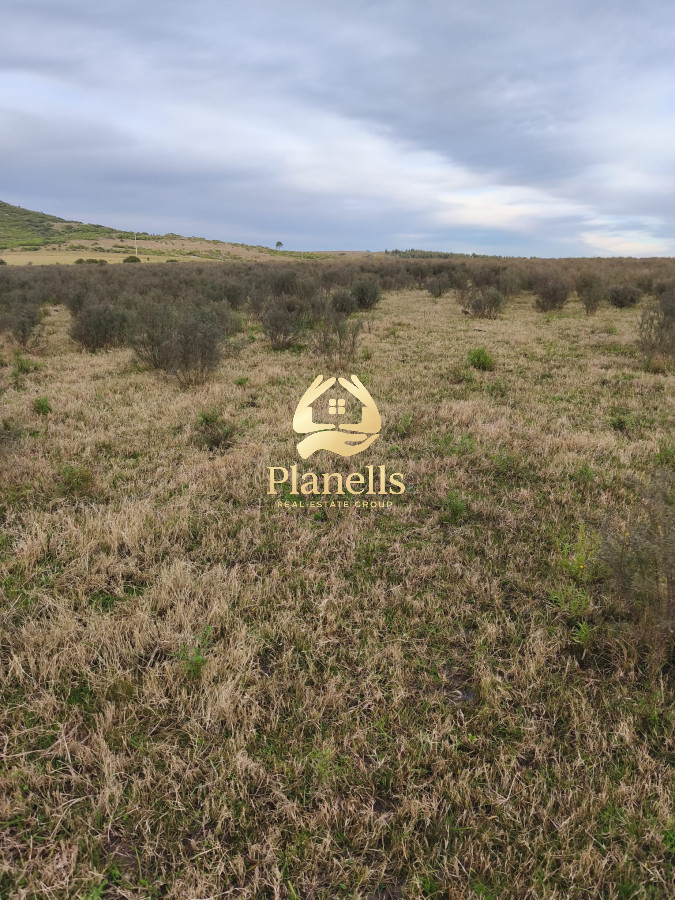 Campo Ref.2894 - Venta de Campo de 25 Ha en 