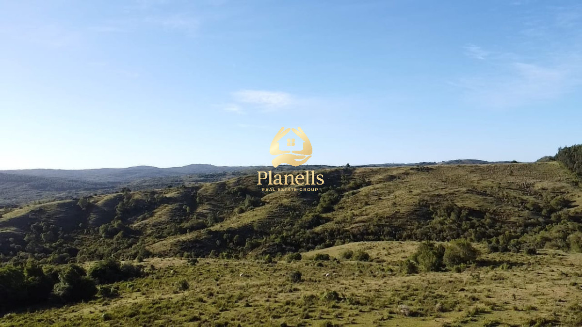 Campo Ref.2682 - Venta de Campo Rocha 130 Ha