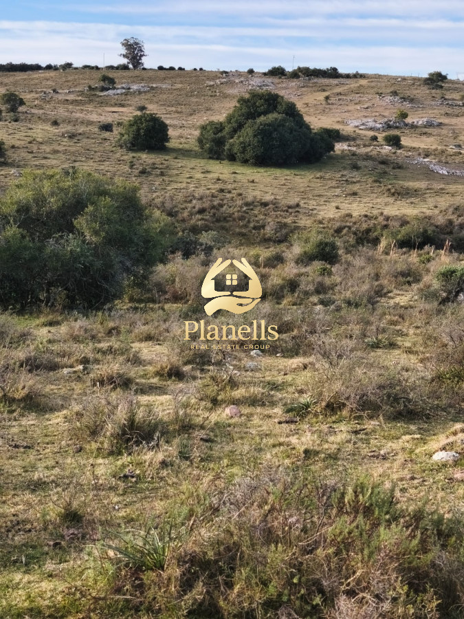 Campo Ref.3028 - Venta de campo de 240 Has Zona Las Cañas
