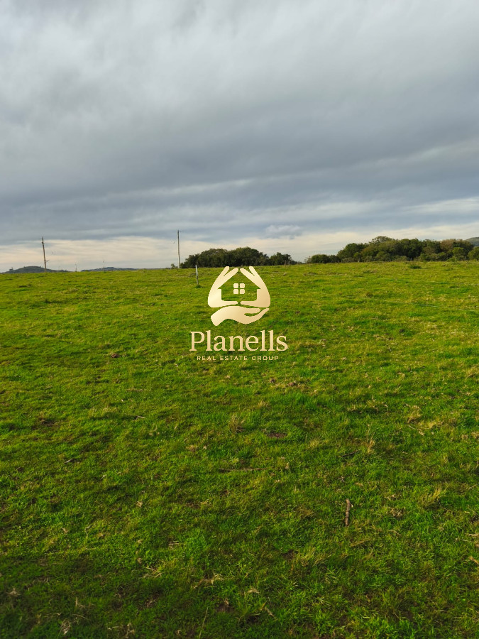 Campo Ref.2890 - Venta de campo de 34 Has en Pan de Azucar